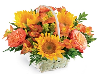 Happy Blooms Basket